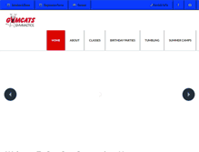 Tablet Screenshot of gymcats.net